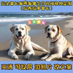 安全警长啦咘啦哆生日祝福视频拉布拉多小孩幼儿园加油鼓励礼物