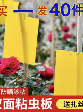 黄色小飞虫粘板大棚诱虫板一体粘虫板防虫贴双面粘虫板果蝇马蓝板
