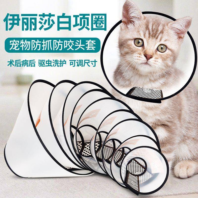 伊丽莎白圈狗狗猫咪项圈脖套防舔防抓咬耻辱圈宠物头套绝育防护圈