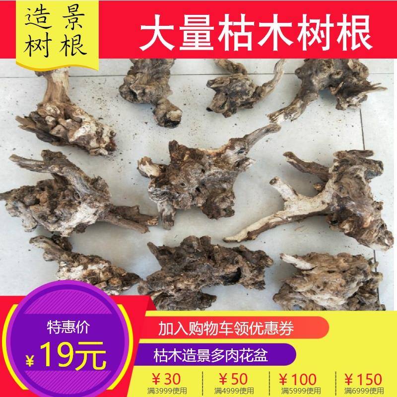 崖柏根雕摆件底座禅意树根实木头造景枯木片装饰文玩创意杯垫工艺