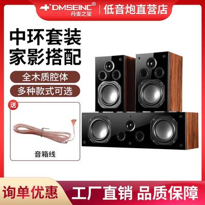 DMSEINC 5.1木制家庭影院3D立体声中置环绕家用客厅被动音箱套装