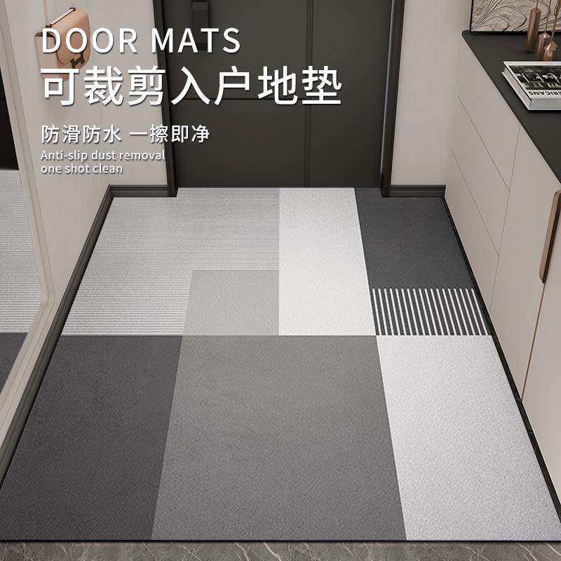 地垫入户门垫进门新款pvc免洗厨房门口门垫家用脚垫防滑地毯垫子,居家布艺,入户地垫,淘宝优惠券,粉丝福利购,淘宝优惠卷