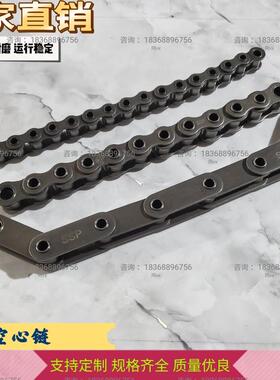 供应双节距空心链条C2040HP/C2050HP/C2060HP/C2080HP空心链