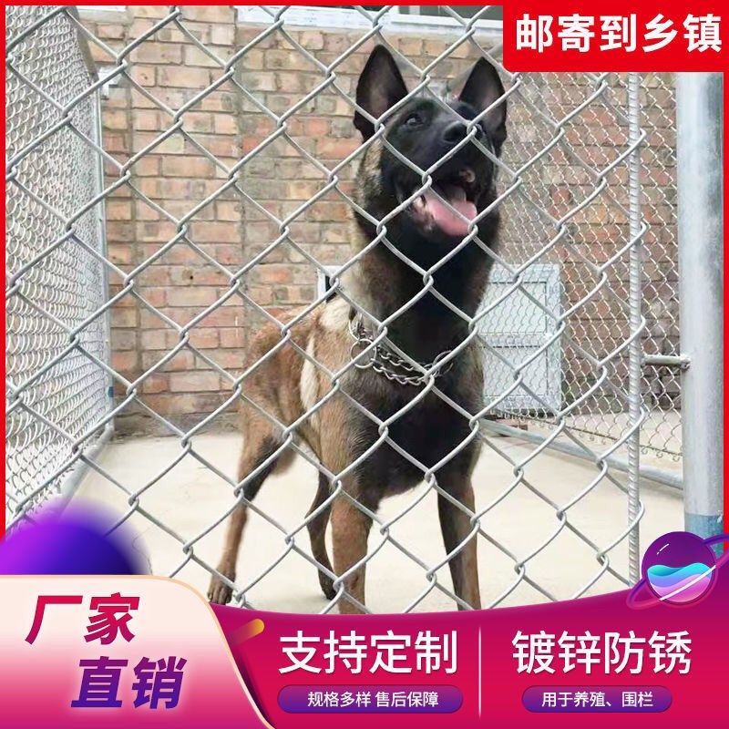 极速新品勾花网热浸镀锌养p殖网防锈铁丝网围栏网防W护网护栏网栅,农机/农具/农膜,播种栽苗器/地膜机,淘宝优惠券,粉丝福利购,淘宝优惠卷