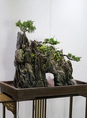 大型假山流水庭院鱼池造景室内办公室盆景植物风水摆件绿植真柏