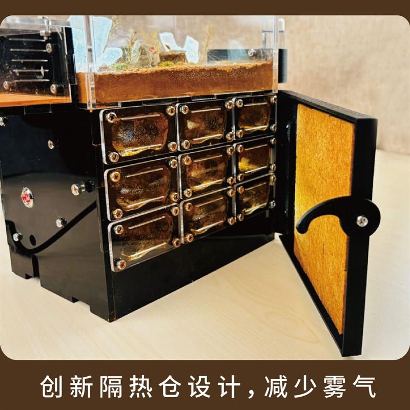 九龙城桌面恒温蚂蚁巢穴饲养盒天空之城大型观察