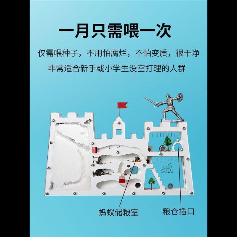 免装版蚂蚁工坊 送蚁后卵养蚂蚁城堡巢家园生态箱蚂蚁昆虫观察盒