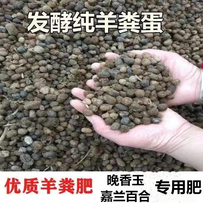 云南发酵纯羊粪有机肥缓释肥颗粒晚香玉嘉兰百合盆栽花苗专用肥料图片