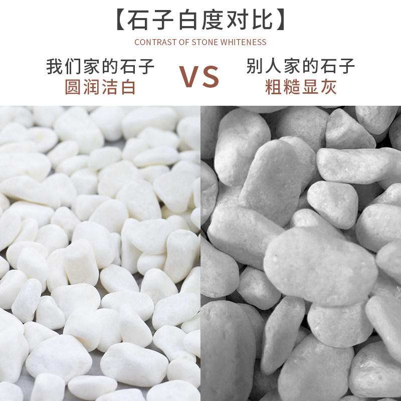 100斤白色石头小石子阳台鹅卵暖软石庭院铺路铺地造景枯山水装饰