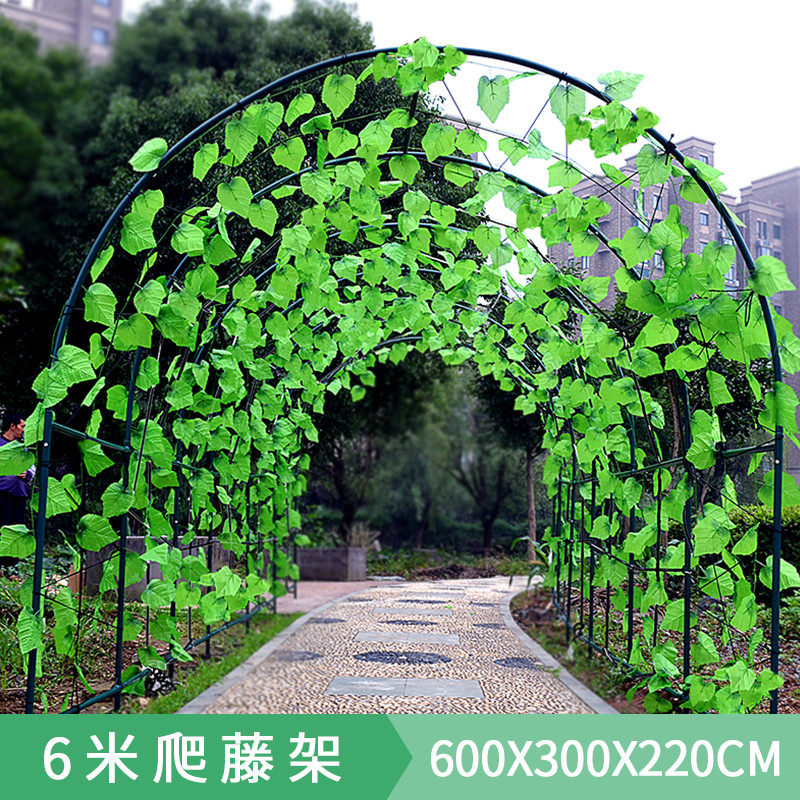 植物爬藤架暖房钢管花架葡萄架大棚骨架百香果支架庭院园艺攀爬架