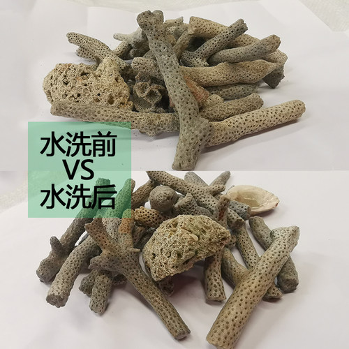 鱼缸珊瑚骨精选珊瑚石砂鱼海鲜池养殖过滤材料底沙调节PH值送网袋