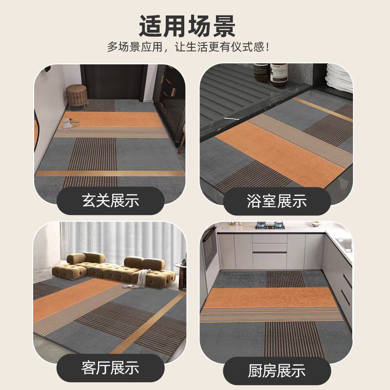 入户门地垫c轻奢耐脏免洗硅藻泥防滑脚垫可裁剪进门玄关地毯门口