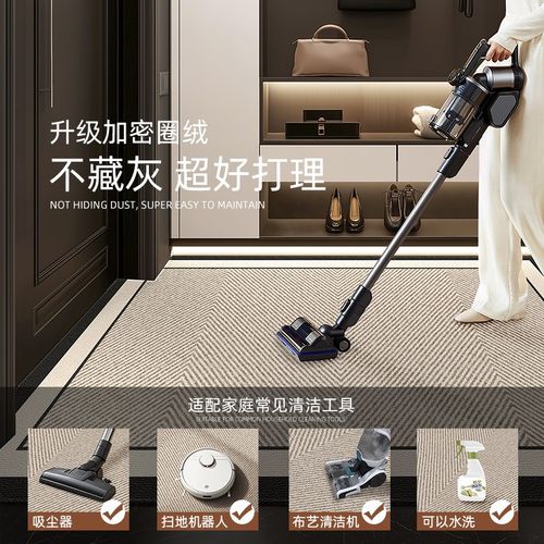 入户门地垫进g门地毯高级门口垫子家用门垫轻奢玄关客厅脚垫可定