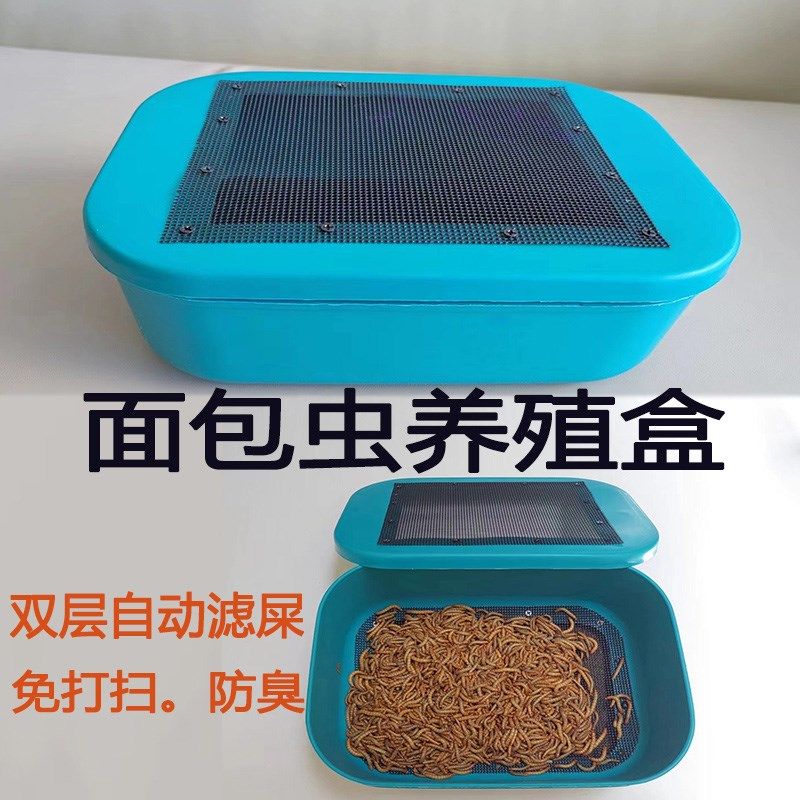 面包虫饲养盒黄粉n虫养殖盒蟋蟀杜比亚蟑螂大麦虫饲养盒子