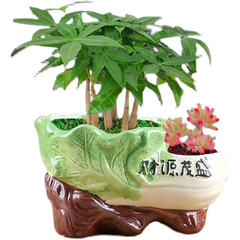 陶瓷双口连体双筒花盆个性创z意植物盆发财树蝴蝶兰多肉盆栽盆