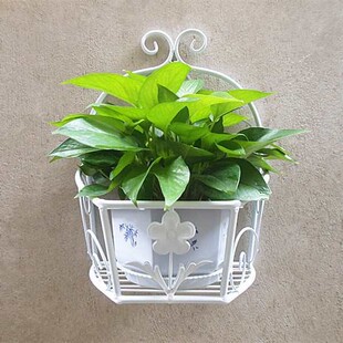 阳台挂式花架挂壁挂墙上墙壁墙BF013489面花盆架壁绿子萝花篮架置
