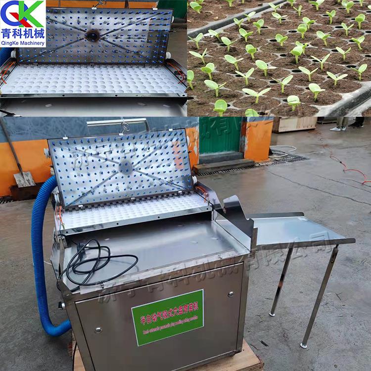 半自动辣椒蔬菜穴盘育苗机花卉番茄种子穴盘育苗机气吸式播种机