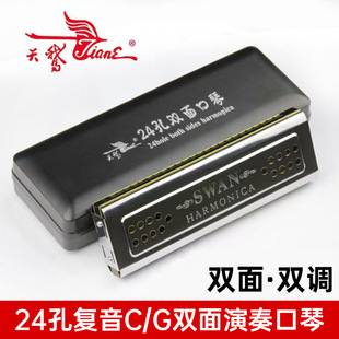 口琴十大品牌天鹅24孔双面双调演奏 复音CG调学生成人练习演奏乐