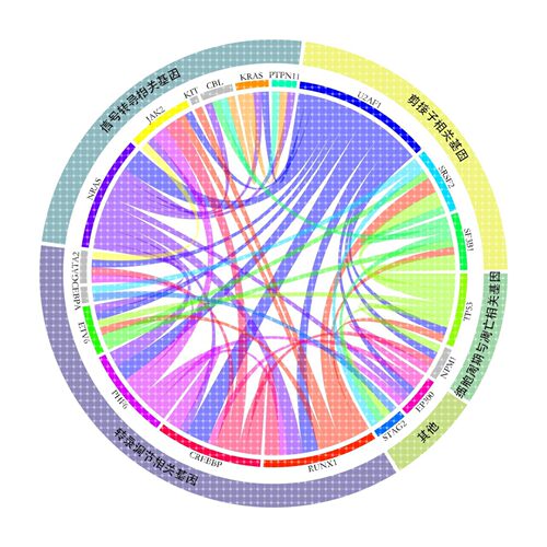 circos圈图/chord和弦图 基因组生信分析R语言画图代码视频教程