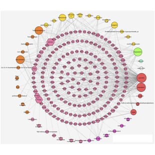 网络毒理学,网络药理学,string,cytoscape,药物靶点,kegg通路