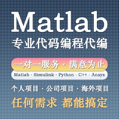 matlab程序代编图像信号数学复现代码帮做simulink建模与仿真代做