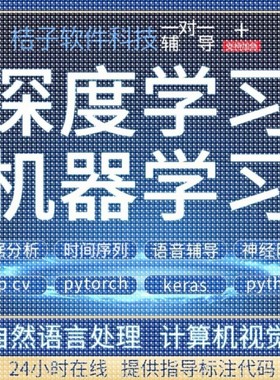 Python代编程深度学习神经网络自然语言处理数据预测知识图谱接单