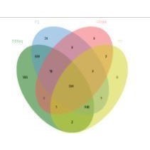 网络药理学专业代做 cytoscape作图 GO/KEGG富集 PPI网络