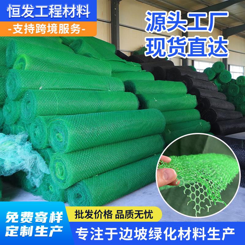 三维植被网厂家现货护坡网EM3河道边坡治理固土植草绿化em4植被网