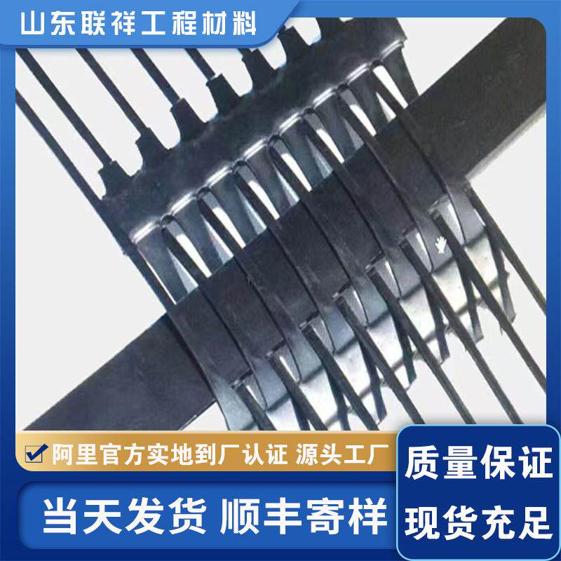 单向拉伸土工格栅 加筋挡土墙HDPE土工格栅 聚乙烯单向土工格栅