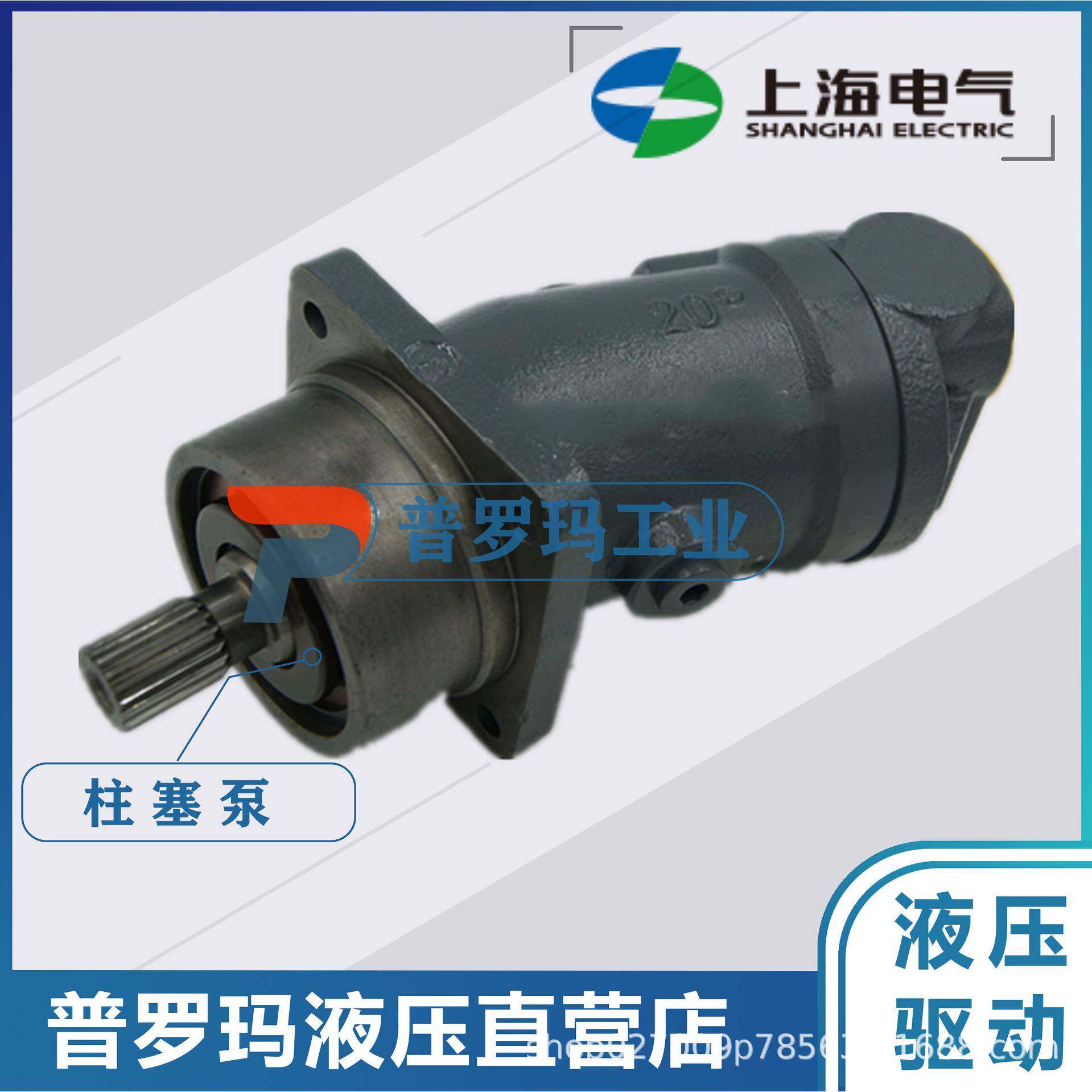 斜轴式弯脖泵柱塞泵/液压泵马达A2F107R6.1B5/125/180