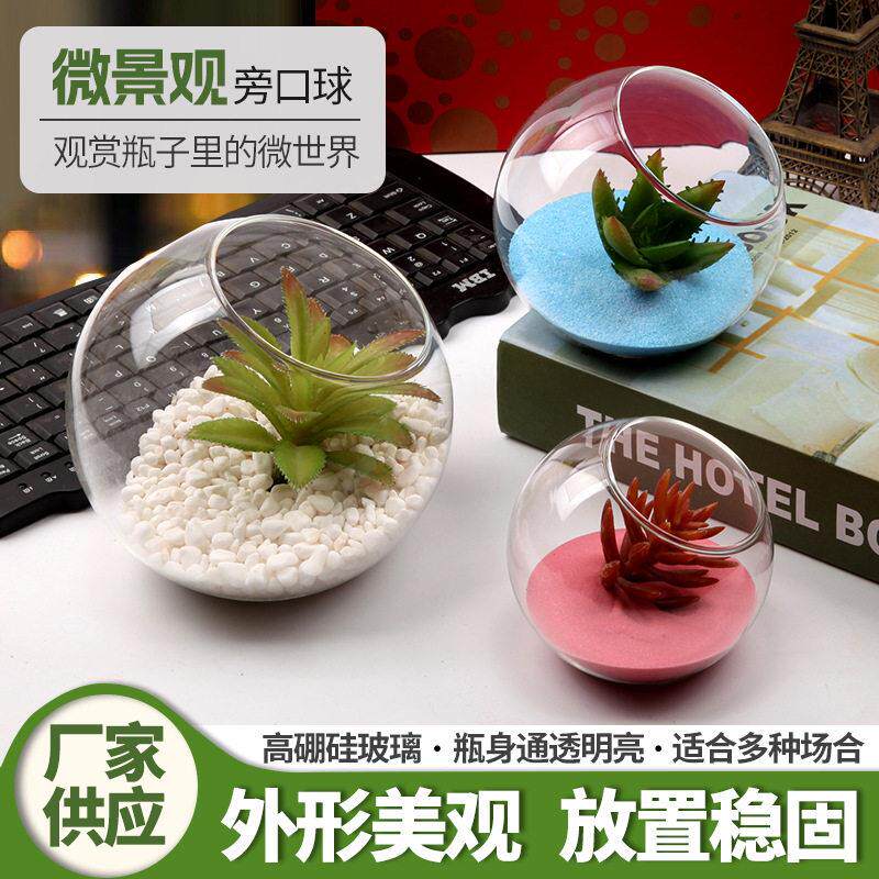 福长供应 微景观旁口球 创意简约生态多肉植物微景观玻璃斜口
