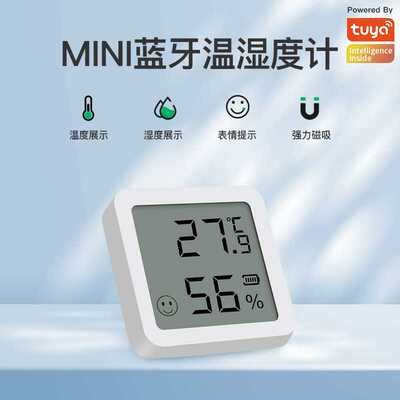 涂鸦智能温湿度传感器Bluetooth Temperature Humidity Sensor