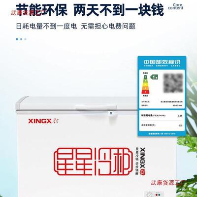 【折扣价】星星牌冰柜全冷冻或冷藏顶开门商用家用展示柜单温双温