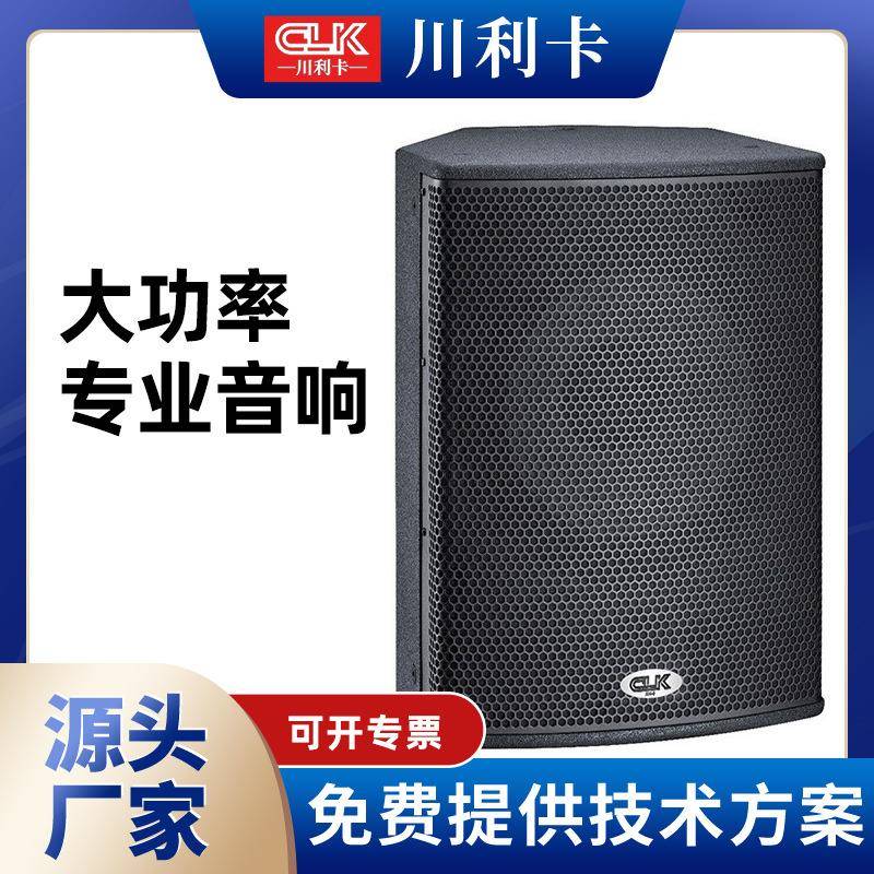 专业音响户外音箱 演出酒吧KTV广场大型会议大功率喇叭