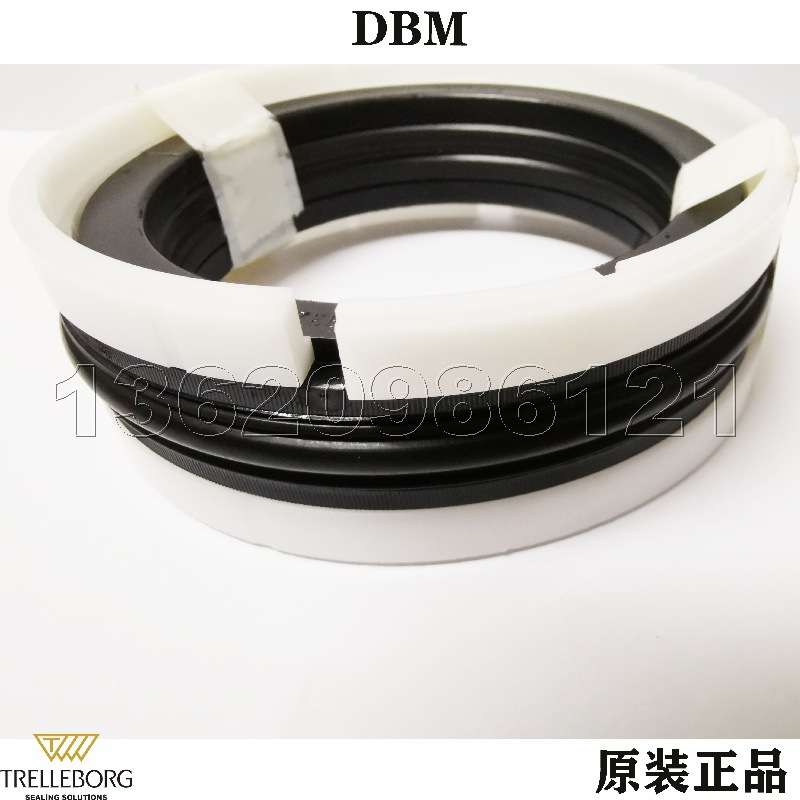 DBM 100-75-35.1（DAS POLYPAC) 629531 160-135 组合油封 港口