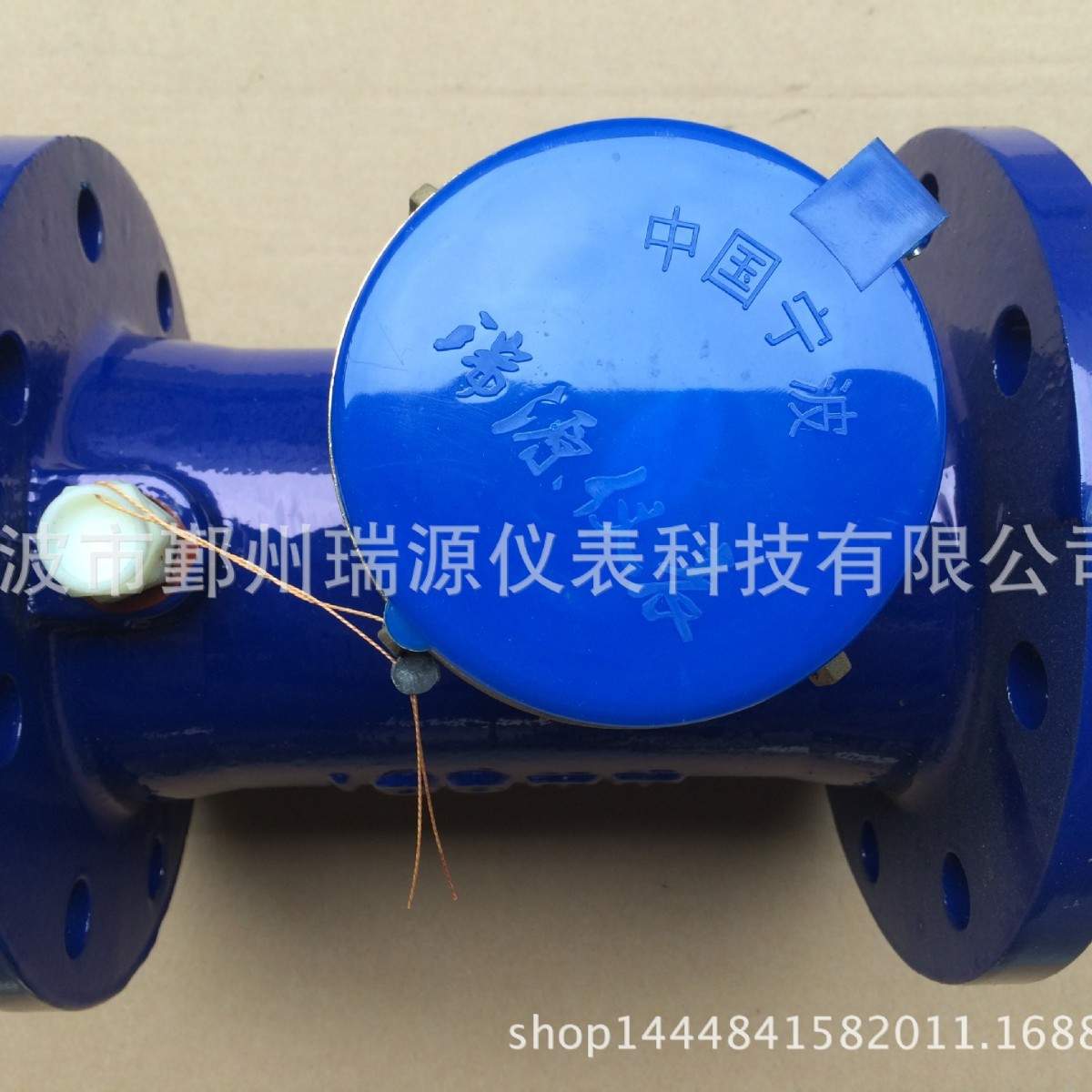 水平螺翼式水表/可检测/国标水表