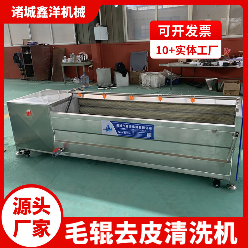 莲藕蔬菜加工毛辊去皮清洗机 根茎类毛辊清洗设备 海鲜海蛎子清洗