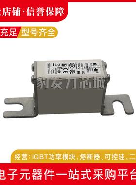 170M1408/1409/1410/1411/1412/1413/1414/1415/1416/17/18熔断器