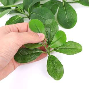 仿树叶榕树叶真树枝假叶子树绿色塑90植物料假室内装饰福禄桐