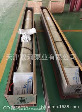 不锈钢深井泵04水31WCI6耐腐蚀海潜水泵3海水提升泵