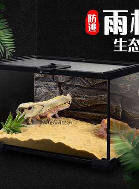 雨林缸玻璃爬宠饲养蜥蜴爬箱生态缸角蛙蜘蛛爬CJC13656守箱宫缸饲