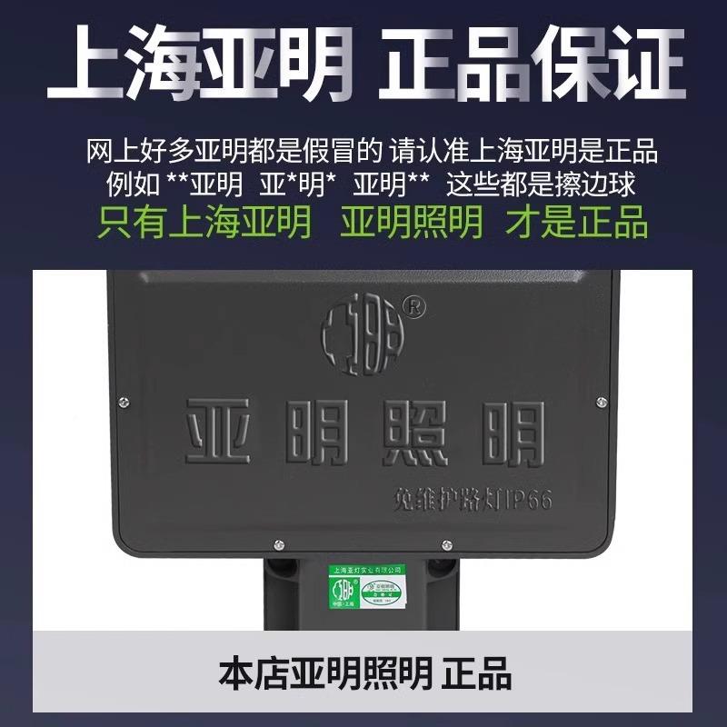 农小区家用村挑亮臂户外路灯头20v透NXJ镜2LED超强光道路照明灯