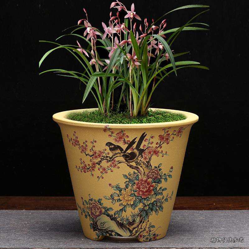 宜兴QWER紫砂兰花盆客厅君子兰绿萝吊兰蕙春园建兰艺绿花兰卉植价