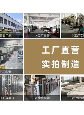 双厂庭院家大门门新中式农村开自建房入户门79044家用防盗进院门