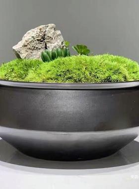 计新中式永生苔28865藓花艺餐售楼处酒店圆桌植物桌设花师款