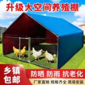 禽鸡棚鸡笼户外特大号家养殖笼防兔雨孔搭建鸽笼959大型家用雀鸡舍