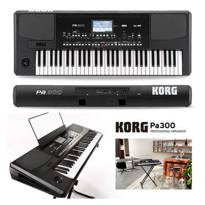 科音KORG EK50 PA300 PA600 PA700 PA1000 编曲键盘电子琴合成器