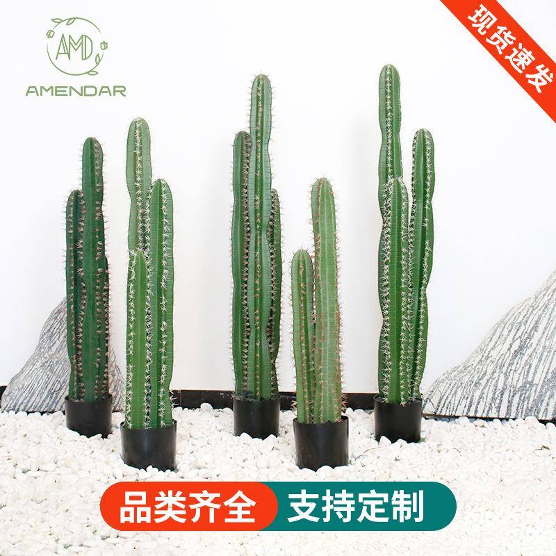 热销仿真热带植物仿真仙人掌仿真仙人掌盆栽装饰造景