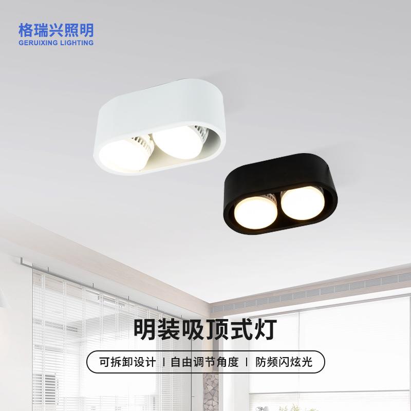 LED明装椭圆双头筒灯展厅家用照明灯客厅走廊玄关过道灯吸顶灯