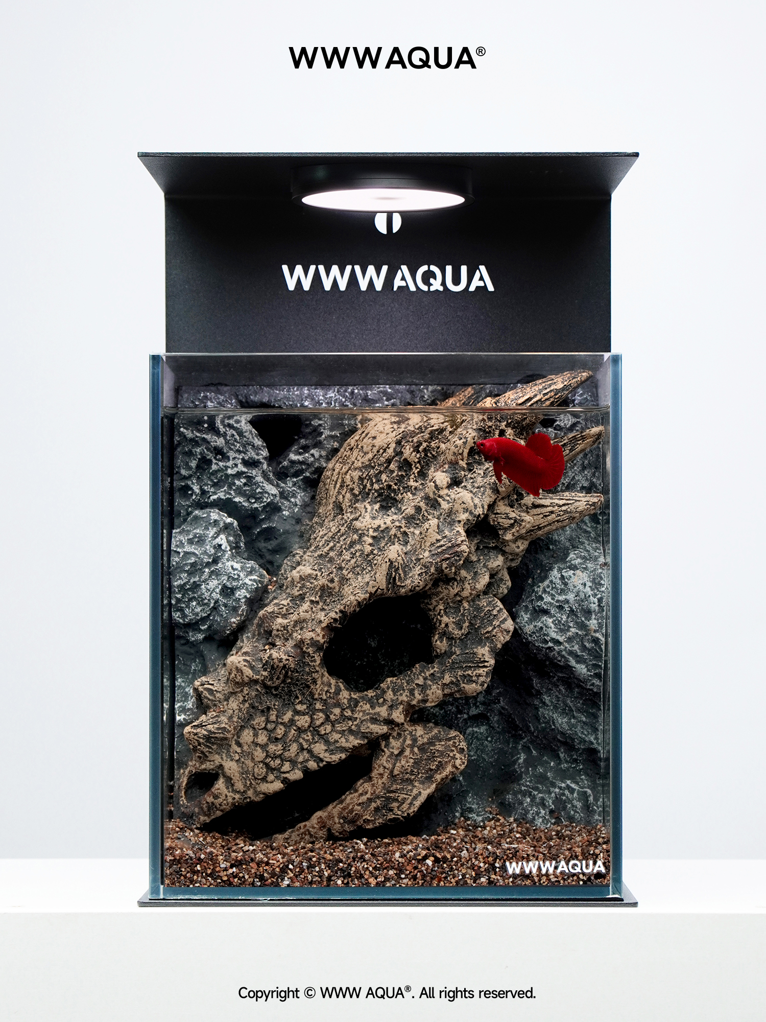 Wwwaqua古化石系列新浮肿龙鱼缸景观超白玻璃斗鱼桌面景观鱼缸